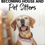 How To Save Money By Becoming House And Pet Sitters