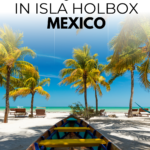 Things To Do In Isla Holbox For Nature Lovers