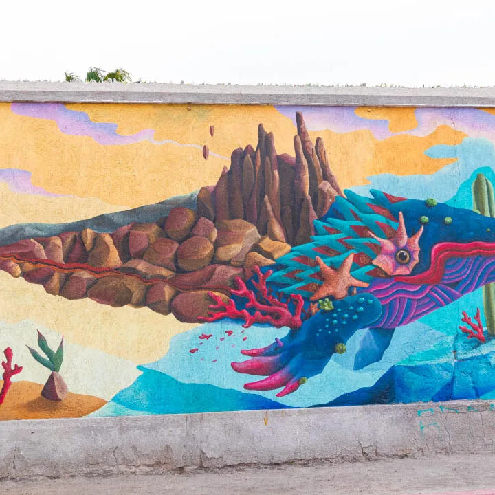 La Paz Baja California, Mexico Travel Guide