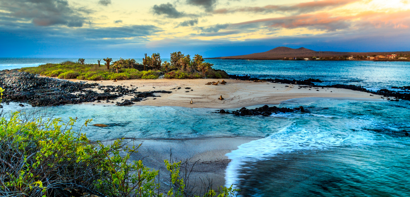 How to get to the Galapagos Islands | Galapagos Islands