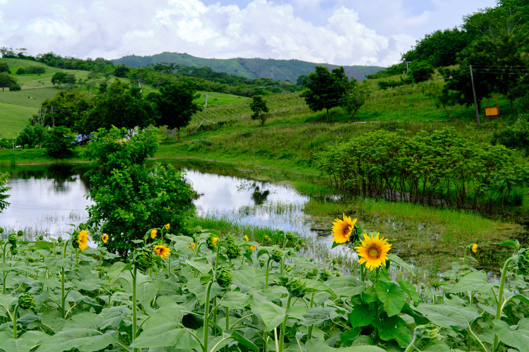 Day Trips from Cartagena | Montes de Maria Colombia