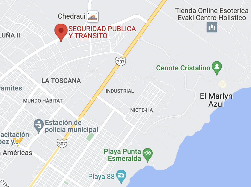 Mexican Drivers License in Playa del Carmen