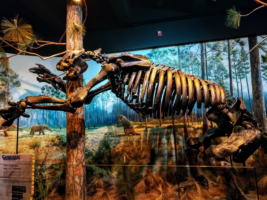 North Carolina Museum of Natural Sciences | Downtown Raleigh | Things to do in North Carolina