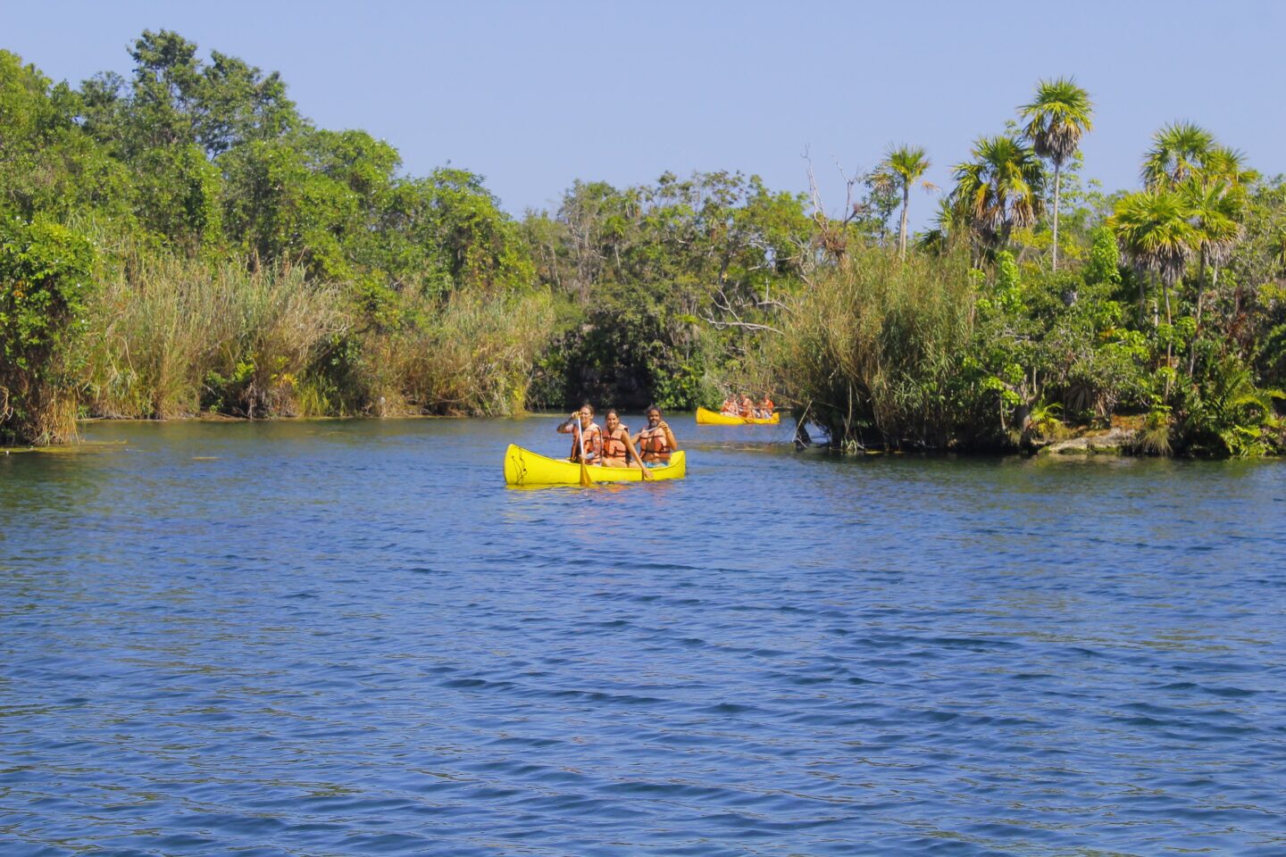 The Best Tulum Cenotes To Visit