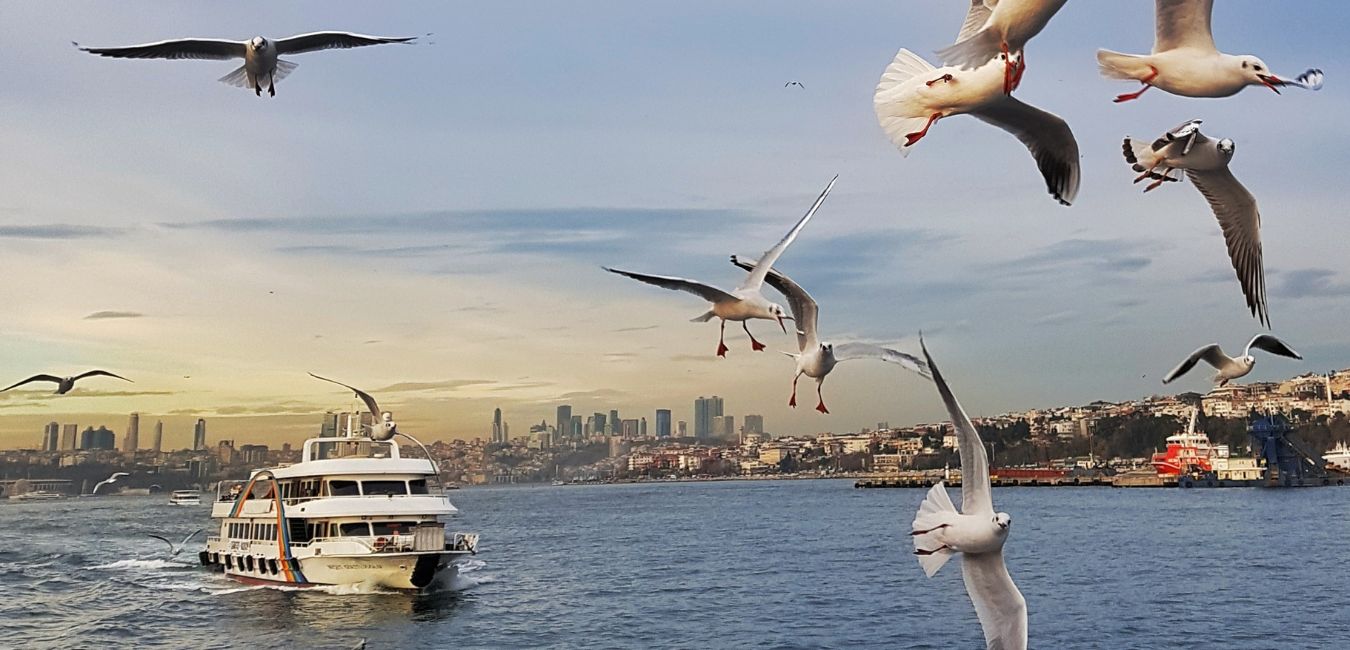 Bosphorus Cruise Bridge Istanbul | Istanbul in 2 days