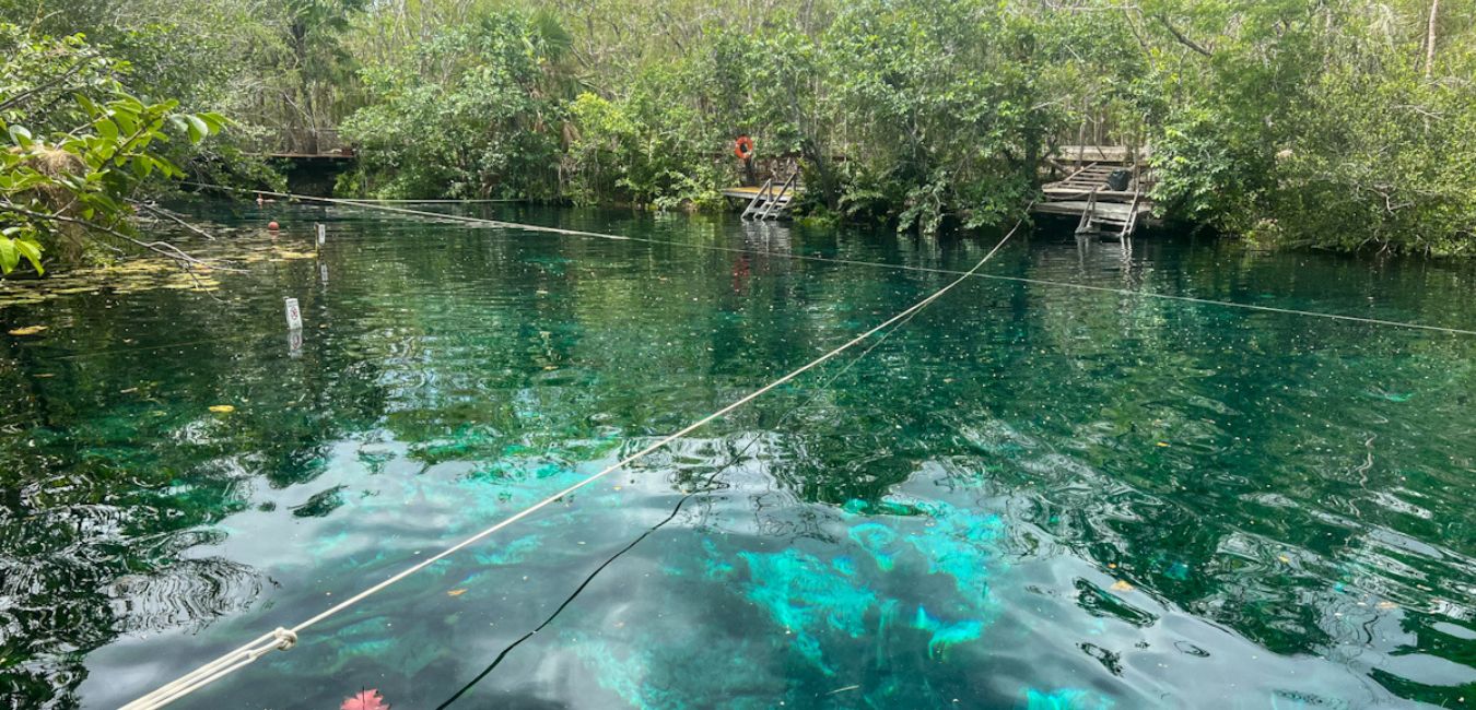 The Best Tulum Cenotes To Visit