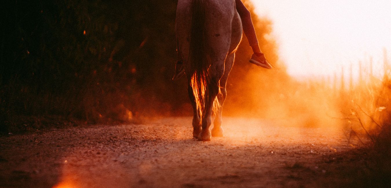 fun things to do in guadalajara | horse back riding in Guadalajara