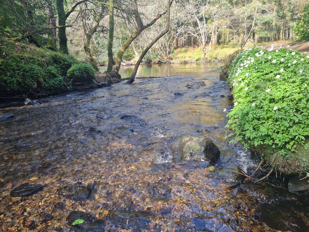 ireland,ireland solo travel,female solo travel,ireland experience,solo travelers,solo travelers in ireland