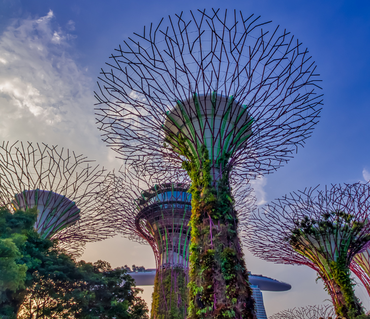 Gardens by the Bay: A Must-Visit in Singapore's 4-Day Itinerary