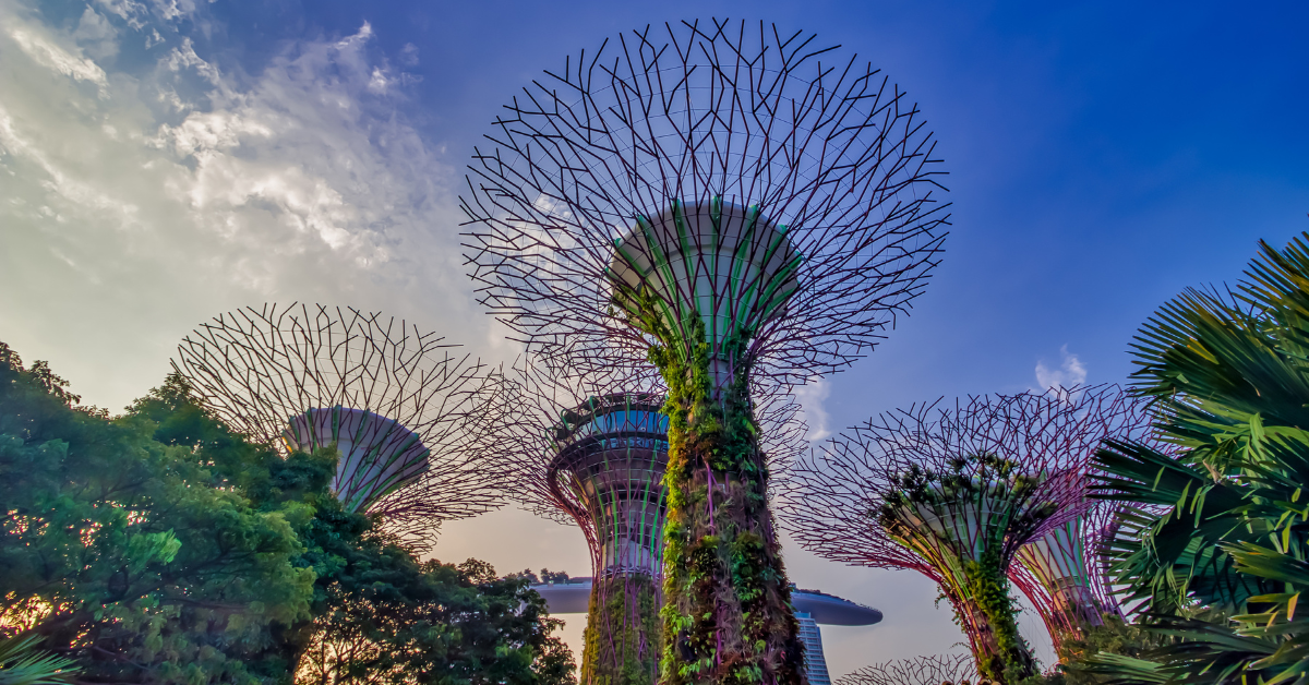 Gardens by the Bay Flower Dome Singapore 4 days in singapore