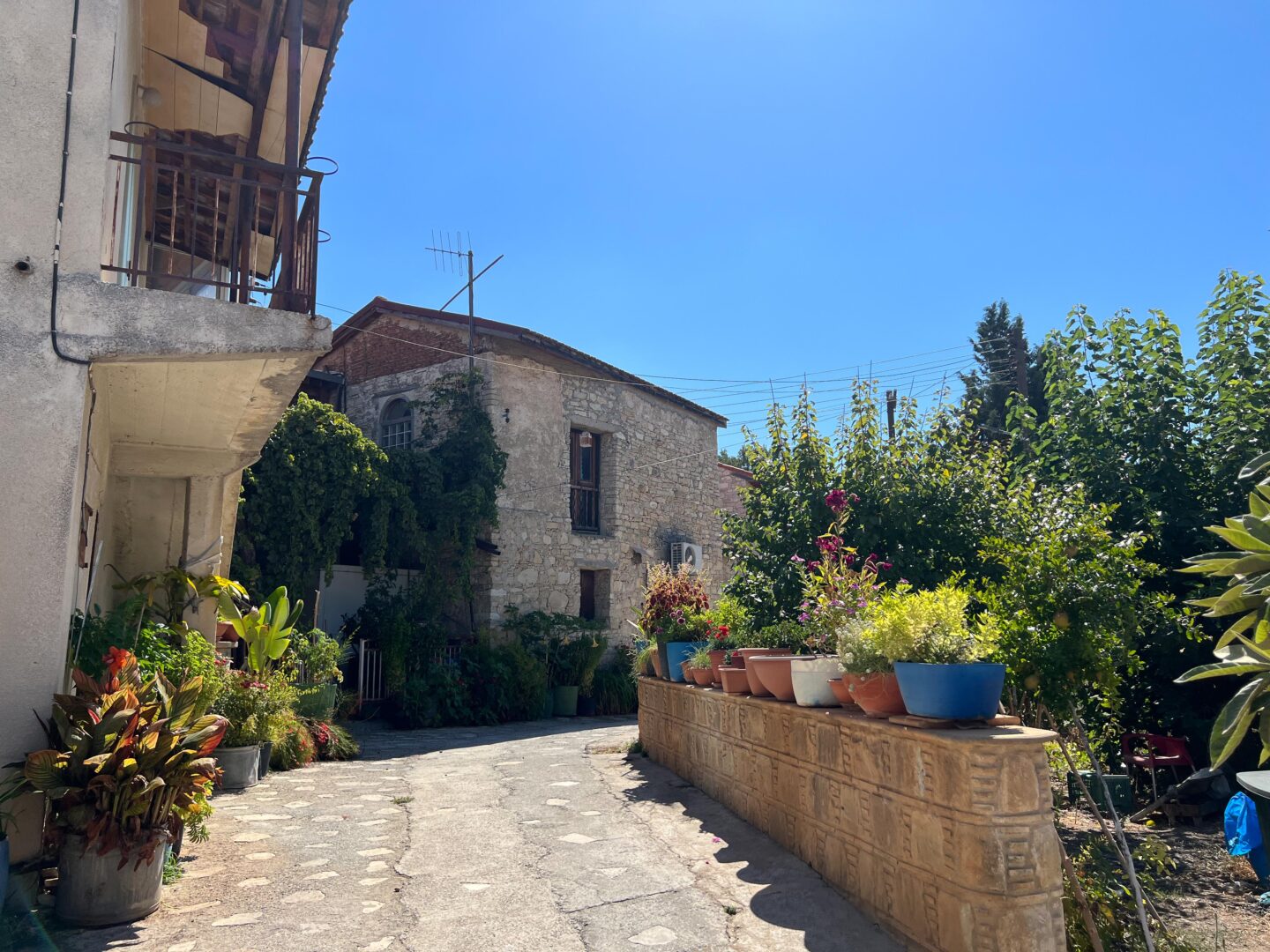 Commandaria Wine Tour Cyprus Review