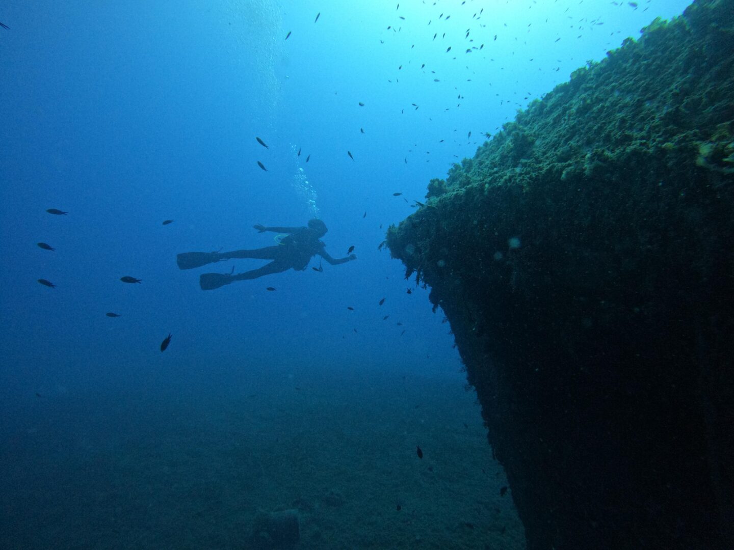 Scuba Diving in Limassol