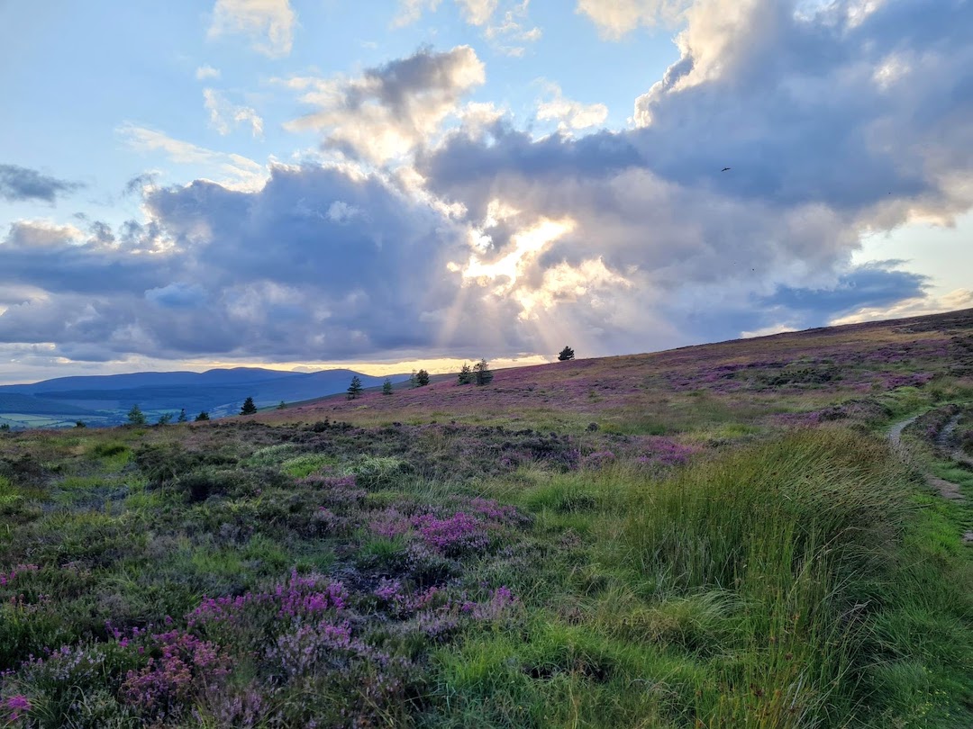 ireland,ireland solo travel,female solo travel,ireland experience,solo travelers,solo travelers in ireland