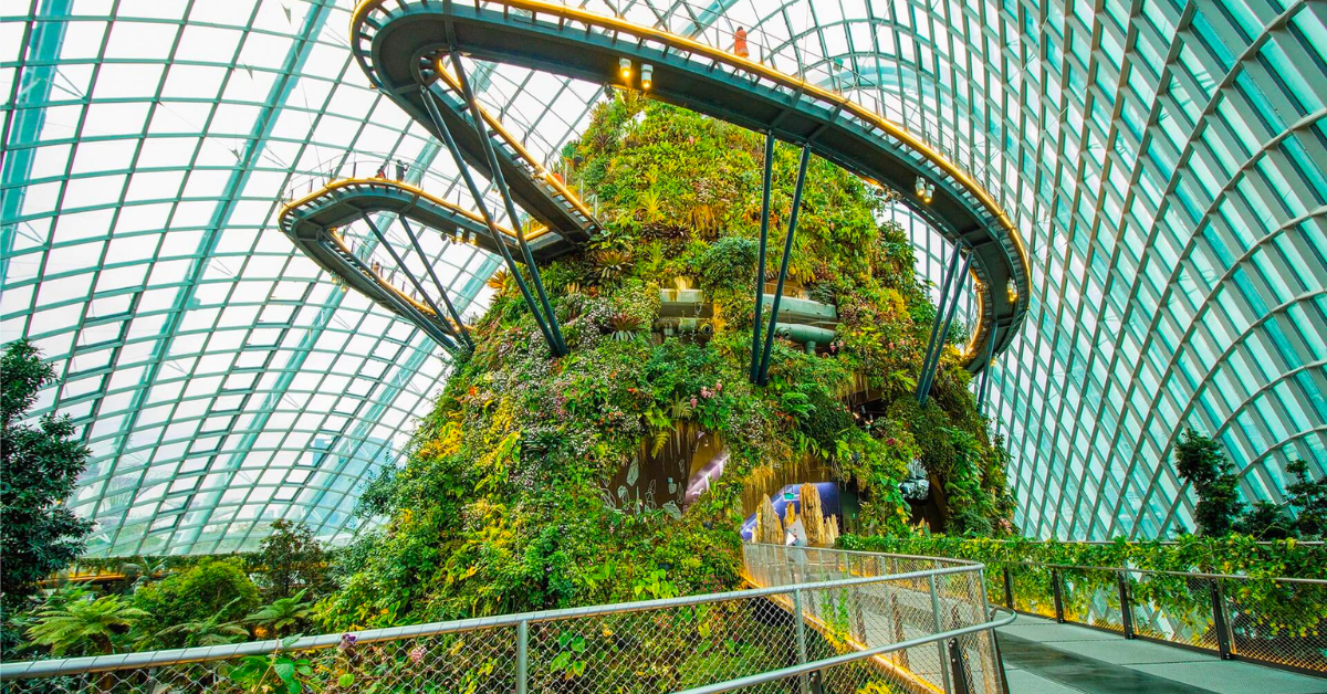 cloud forest singapore 4 Days In Singapore