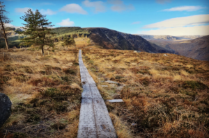 ireland,ireland solo travel,female solo travel,ireland experience,solo travelers,solo travelers in ireland