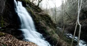 A romantic waterfall nestled in a lush Scottish forest.