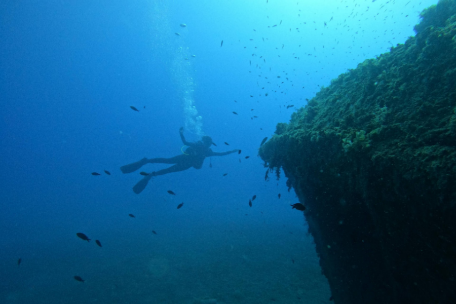 The Best Scuba Diving In Cyprus