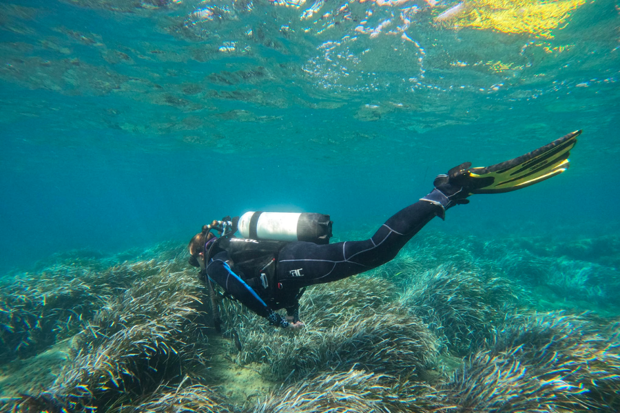 The Best Scuba Diving In Cyprus