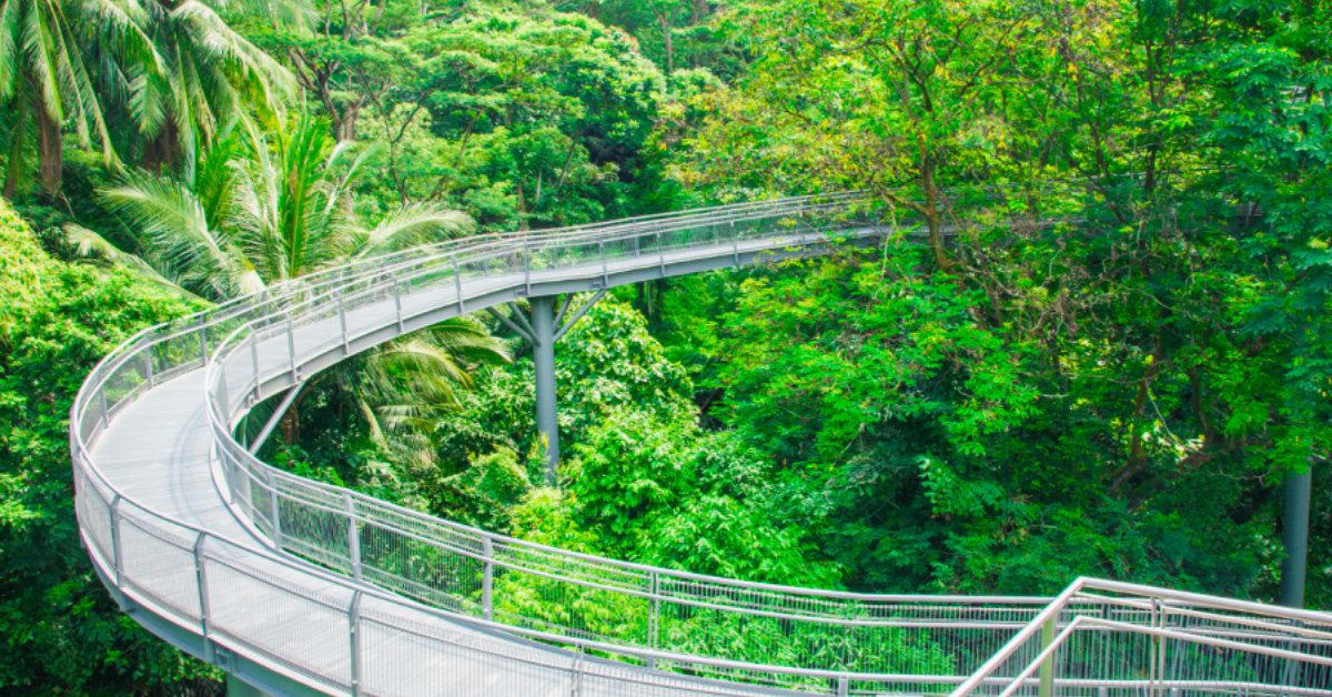 Southern Ridges National Park singapore 4 days in singapore