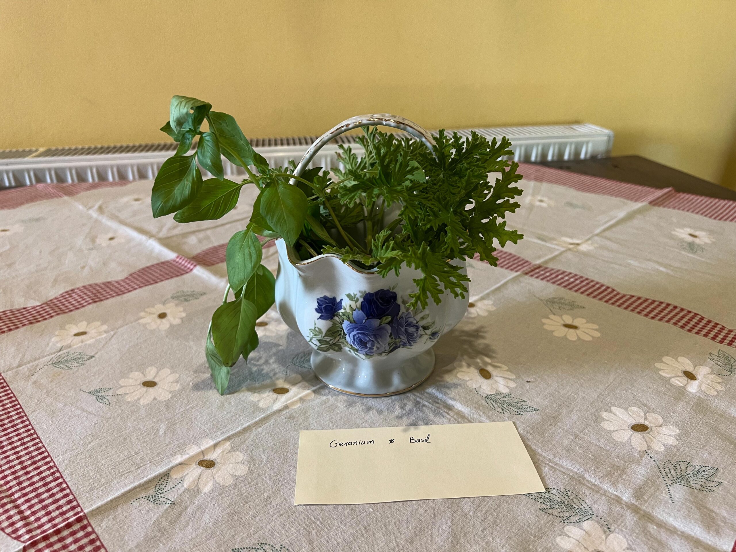 Kato Drys Cyprus Guide + Garden Kamara Review