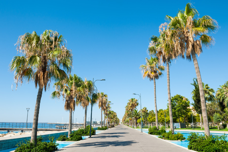 The Best Limassol Hotels for All Budgets