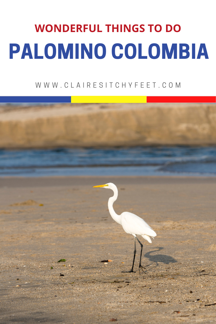 Colombia Guides | Things to do in Palomino Colombia