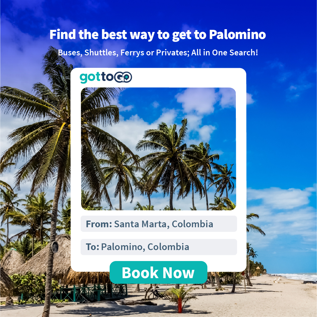 things to do in Palomino Colombia,palomino colombia,palomino colombia guide