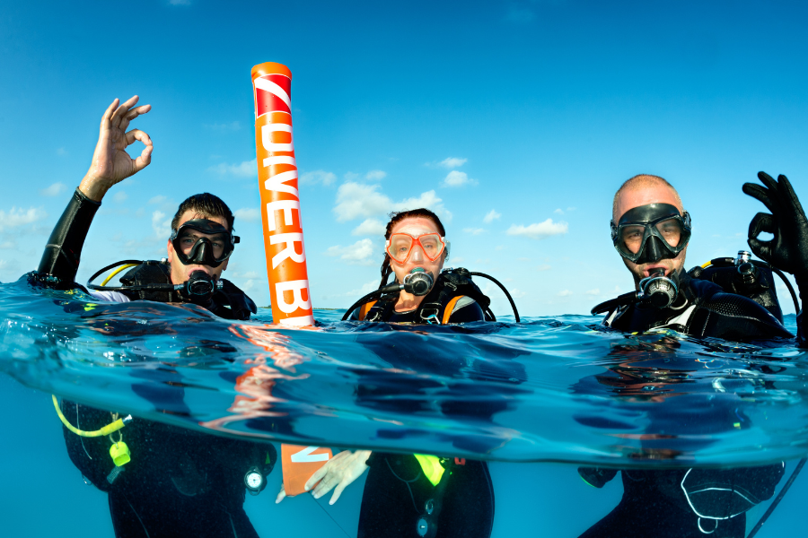 Florida's Underwater Treasures: Best Scuba Diving Locations