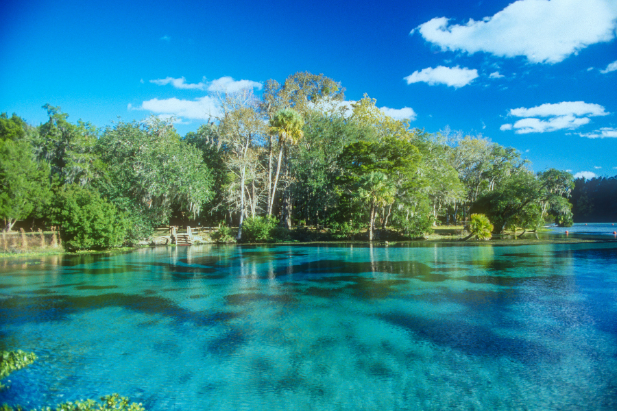 Florida's Underwater Treasures: Best Scuba Diving Locations