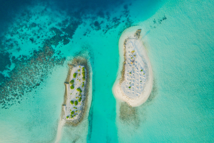 diving maldives