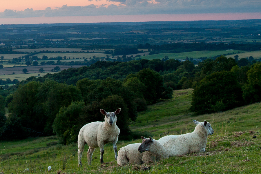 Best Things To Do In Chipping Campden