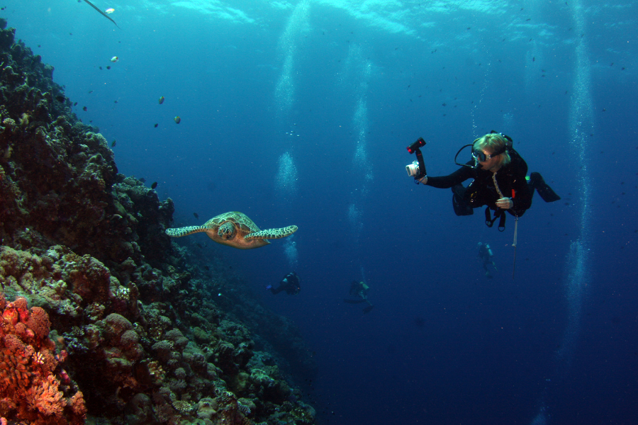 What to Pack for a Scuba Diving Trip: Scuba Dive Equipment List