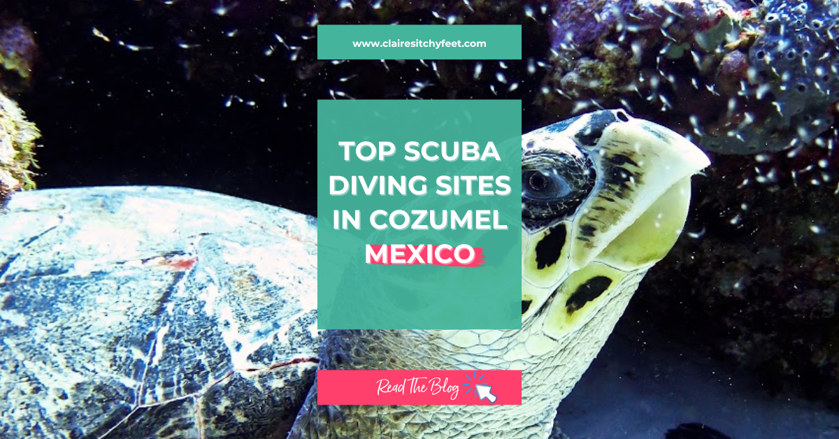 Best Cozumel Scuba Diving Packages + Diving Cozumel Tips
