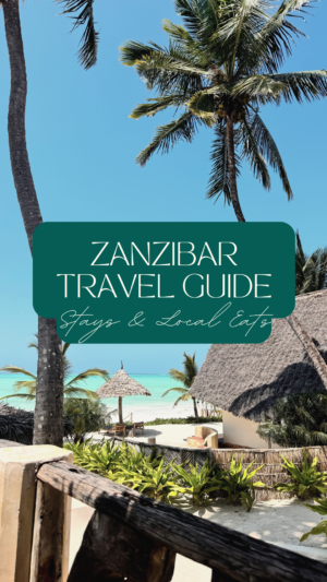 Zanzibar Travel Guide cover with beach and palm trees