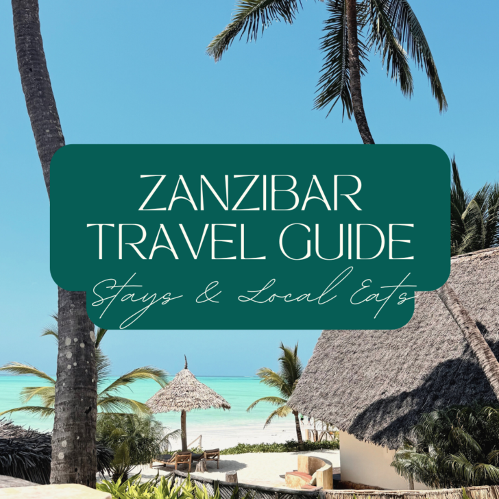 Zanzibar Travel Guide cover with beach and palm trees