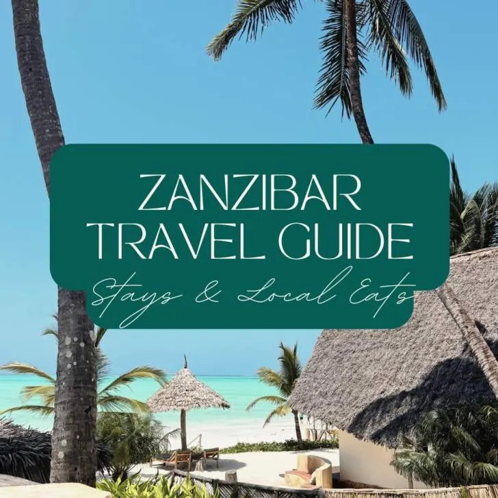 Zanzibar Travel Guide cover with beach and palm trees