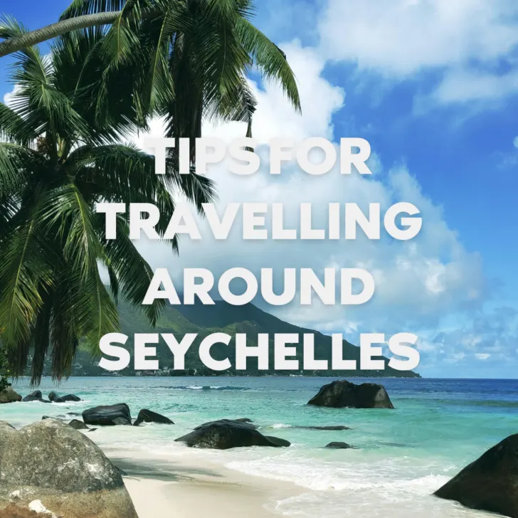 Seychelles beach travel tips poster with palm trees