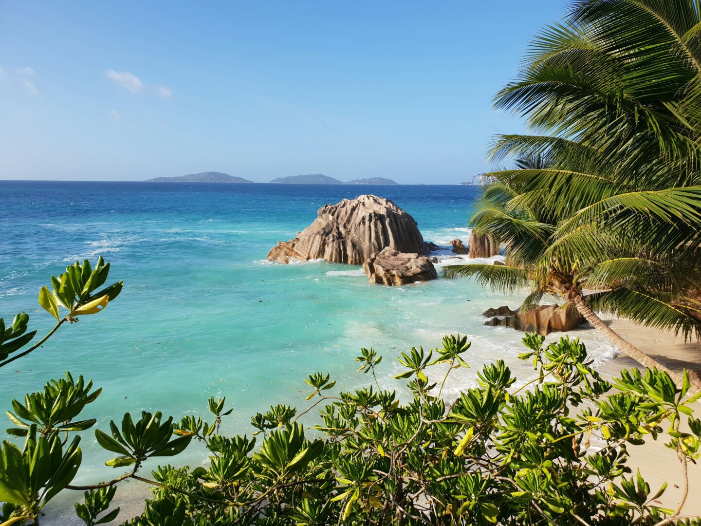 Tropical beach with clear turquoise water and lush foliage