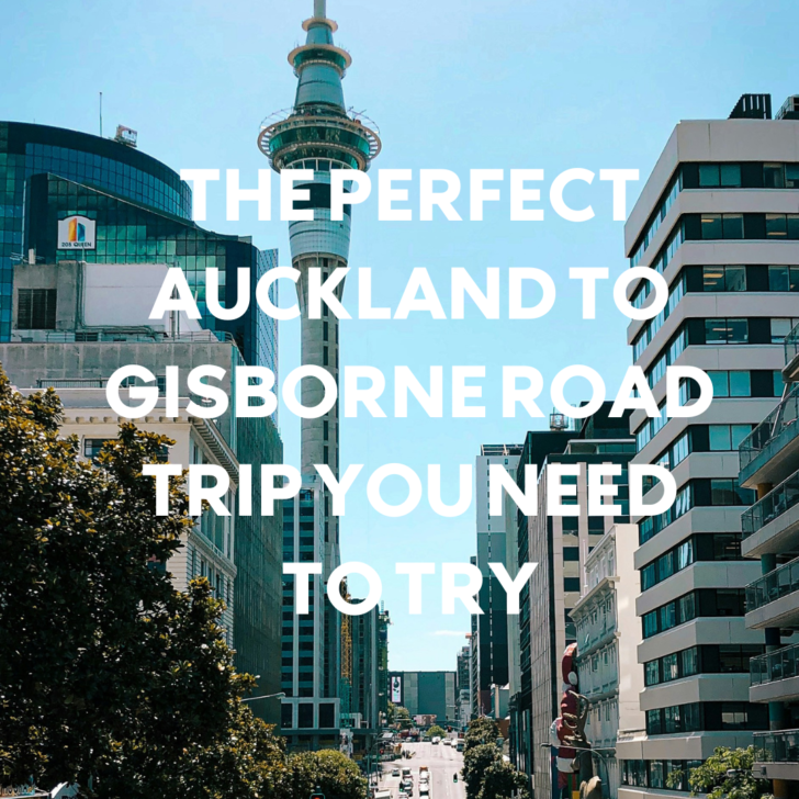 Auckland cityscape with Sky Tower and busy street