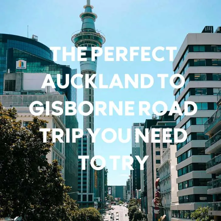 Auckland cityscape with Sky Tower and busy street