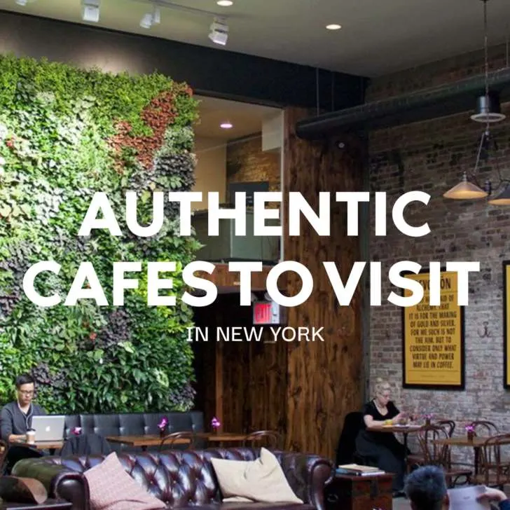 Hip New York cafe interior with lush green wall