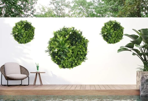 Outdoor patio with green wall-mounted plant arrangements