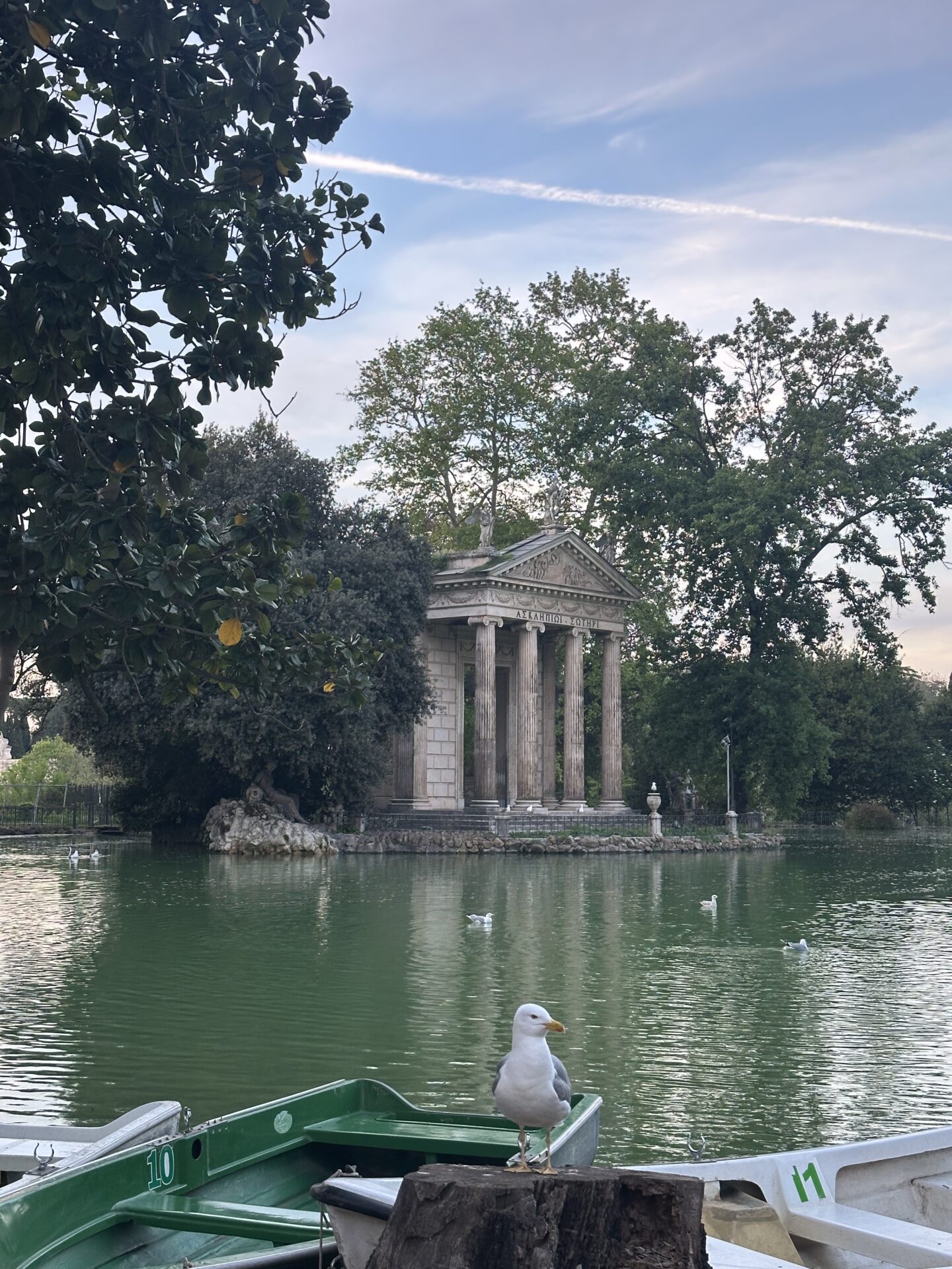 Seagull perched by lake with classical temple and boats