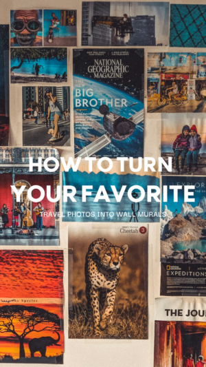 Collage of diverse National Geographic magazine covers
