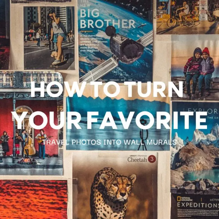 Collage of diverse National Geographic magazine covers