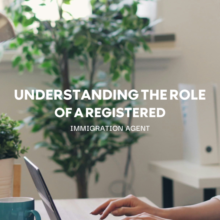 Person studying immigration laws at desk with laptop