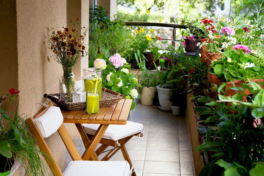 Cozy balcony garden with flowers and refreshing drinks