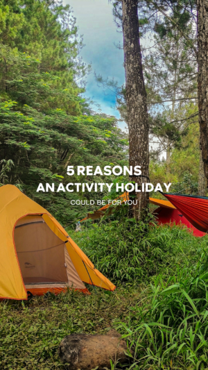 Camping in forest with tent and hammock, promotional banner