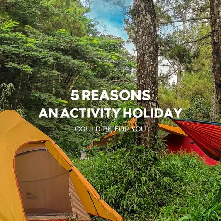 Camping in forest with tent and hammock, promotional banner