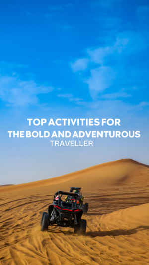 Buggy riding on sandy desert dunes